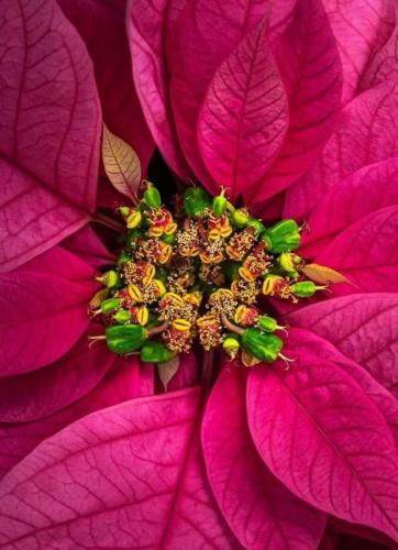 img-b660020e
