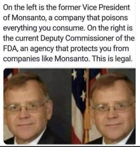 IMG_20240405_051954_775