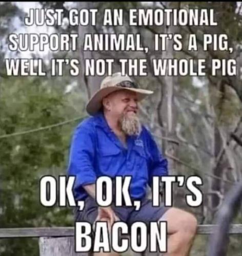 000000000000000000000000000000000000000000000000000000000000000000000000000000000000000000000000000000000000000000000000000000000000000000000000000000000000000000000000000000000000000000000000000000000bvr