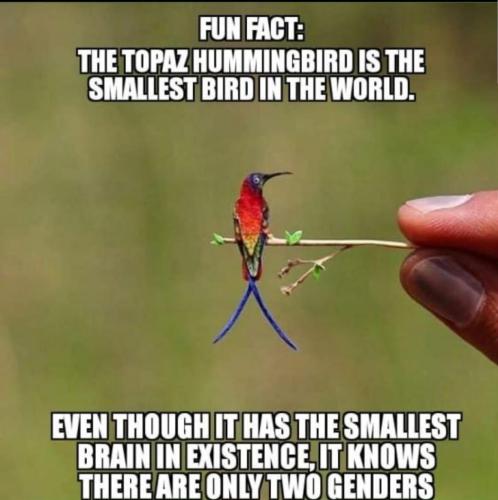 photo_2024-04-18_19-08-31