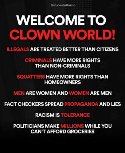 sngine_af4be80d90a4242c7b84ab69ab7245b5