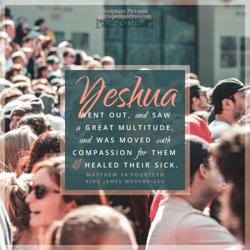 FAITH - Matthew 14.14 KJV