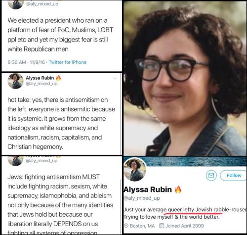 aly_mixed_up.Alyssa_Rubin.n.1