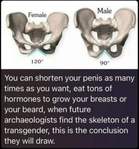 3f0d314a-941b-4b5d-a99a-abb409f7dd88