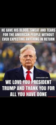 Screenshot_20230613-163439_Gallery