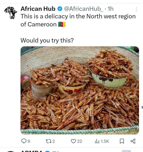 IMG_20240412_021830_308