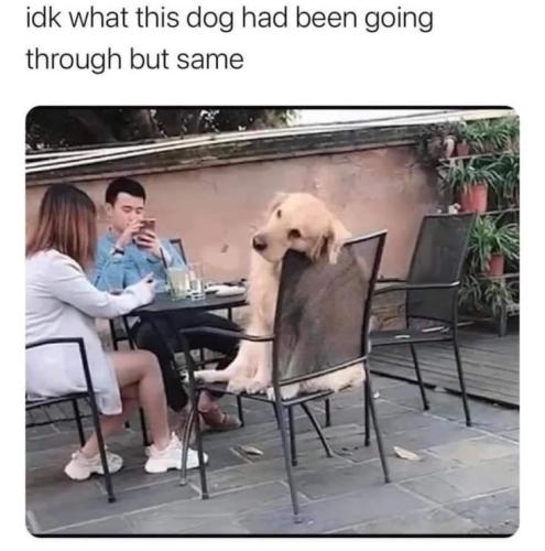 d0a227aae45f487d331468404a55e7a6