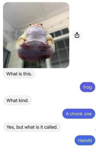 frogg