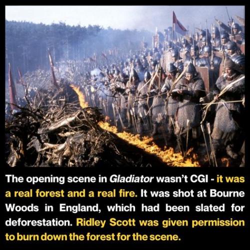 432983251_826476819509745_4870021547589377795_n