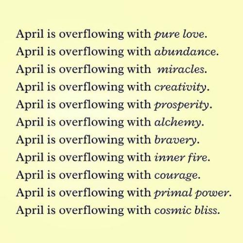 ,   418468121_2428009 (1)