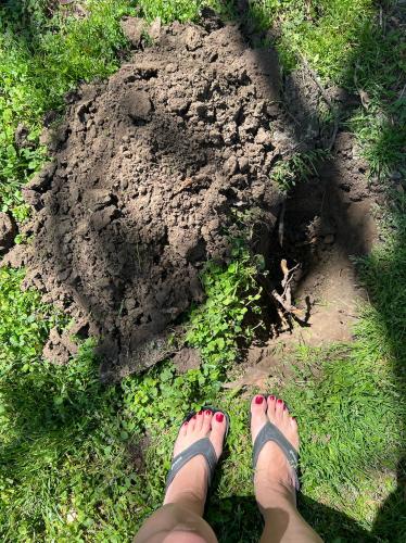 E61BF87E-FDEA-40F7-A612-C00294D0E750