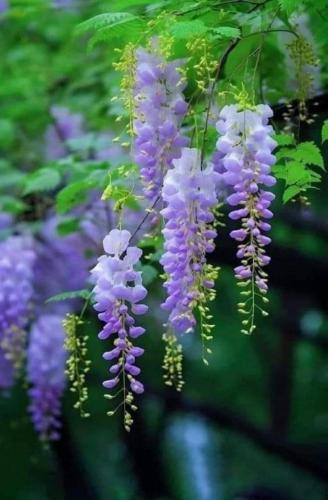 img-f4944970