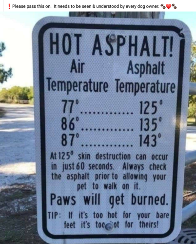 Screenshot_2024-04-22-14-29-40_kindlephoto-332252745