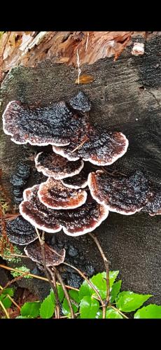 Screenshot_20240416_054809_Photos