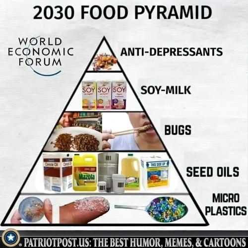 Food Pyramid