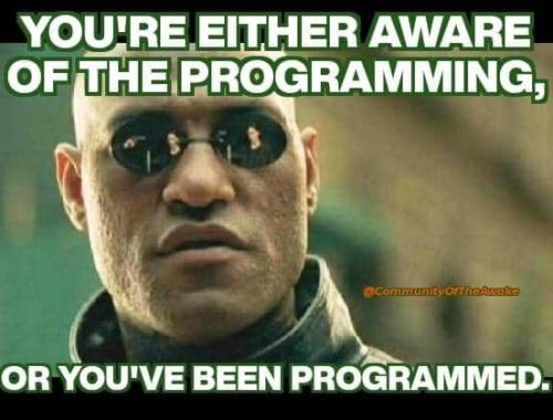 434574569_1484196752477041_3159469802338855665_n