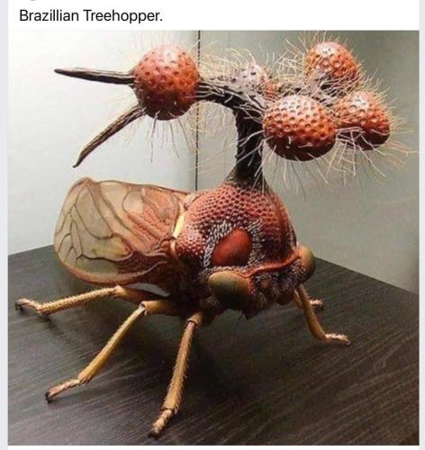 20240416_231808