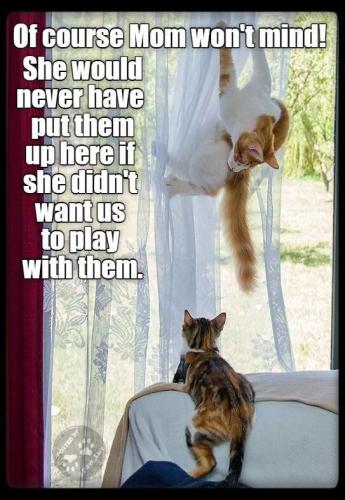 7592969f58e5c9d79c9fb559a46f7dd0