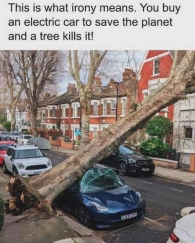 439427809_10228287186277786_6321546796998387843_n