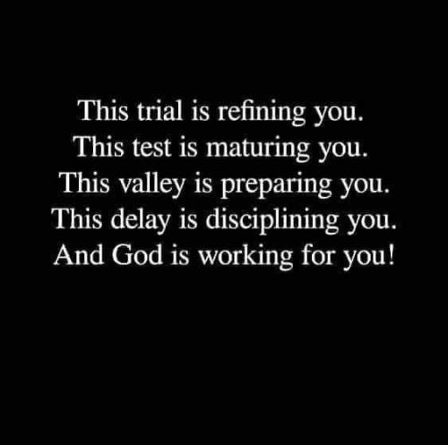 IMG_20240405_052027_066