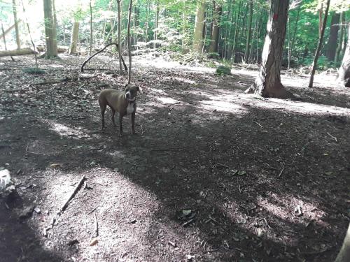 IMG_Fri Jan 14 11_12_06 EST 2022