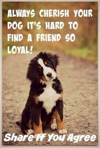 2210c560bc367983554a42f041b6ad39