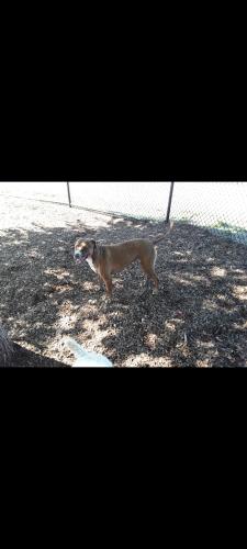 Screenshot_20230915-081554_Gallery