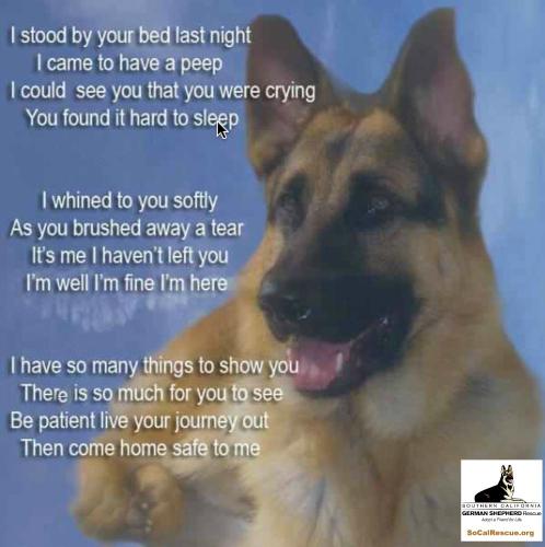 74329c46a6601e5949723e4e6249f107