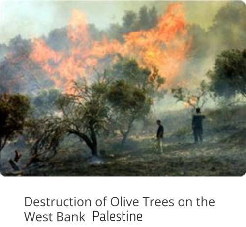 Screenshot_2024-04-23-21-49-02_kindlephoto-365441786