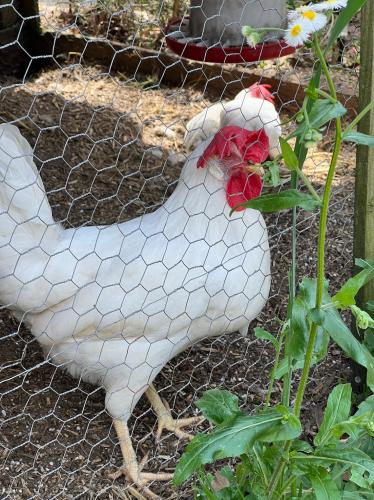 DCA95C51-80FC-41CC-AB31-21220DD6F720