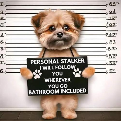 437105171_7926384794053020_7853619015982685052_n