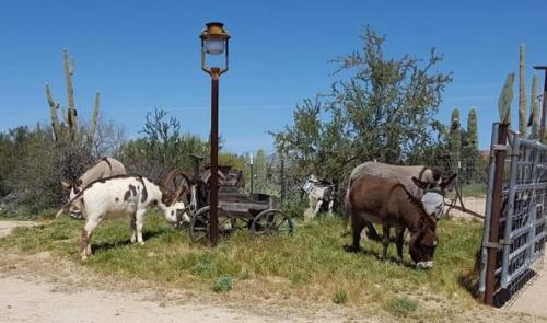 Screenshot_20240310_192932_Facebook