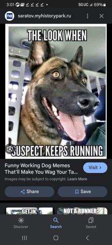 Screenshot_20240422_150141_Google