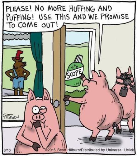 434723245_122132777768112208_7377340646528351405_n