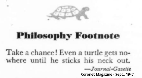 Screenshot_2024-04-12-10-49-28_kindlephoto-319740370