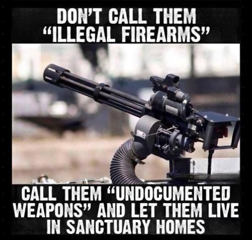 undocumentedfirearms gettr
