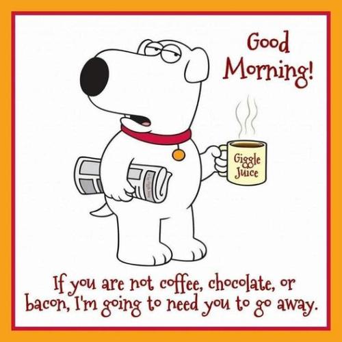 440157019_954809076650679_1167452487475859516_n