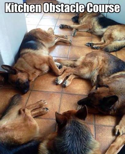 586bf84d3e0a6376c14d92ec74896f64