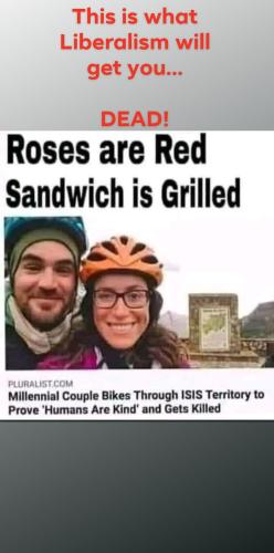 orca-image-1576466097