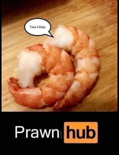 prawn