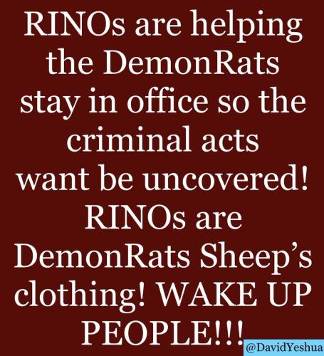 RINOS 1