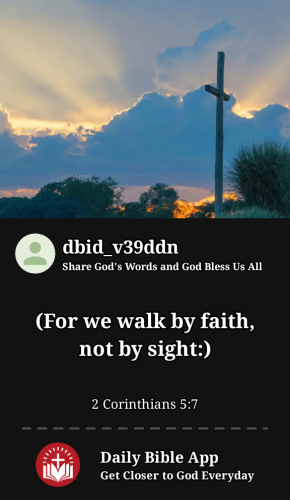 2024-04-161713291585309