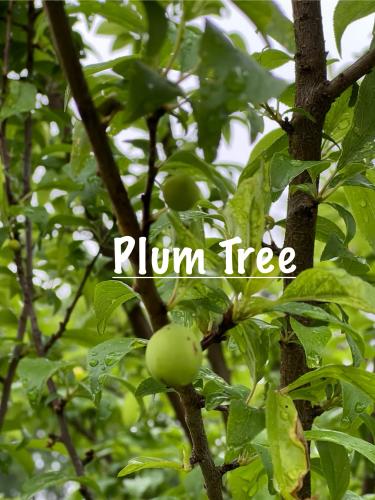 26B5F4BF-47EC-4490-A197-F60BA4201A89