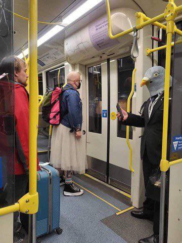 photo_2024-04-10_18-17-01