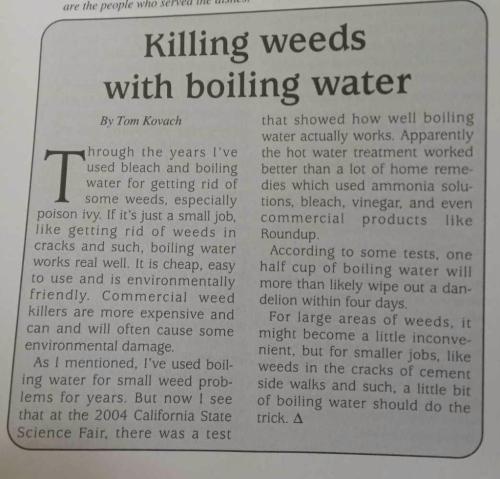 received_1572767376854133_kindlephoto-17044664