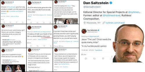 dansaltzstein.Dan_Saltzstein.b.1