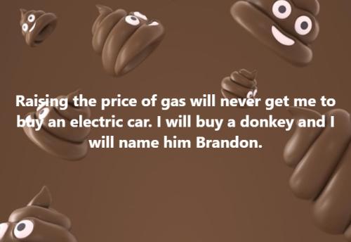 Electric cars and Brandon