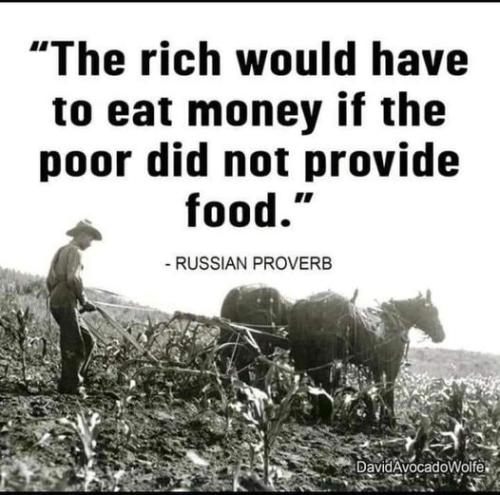 not provide food