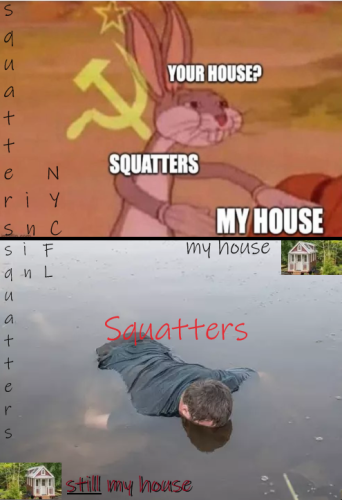 squatter rights_fl vs ny