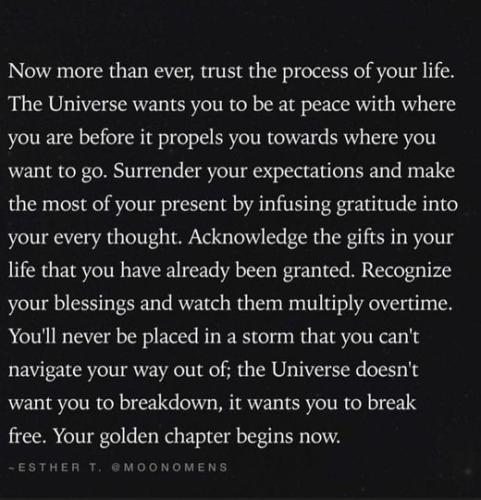 .  399043242_88823576266